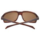 HEXT, Shiny Tortoise-Saturn Polarized Drivers Cat 2 to 3 B8, hi-res image number null